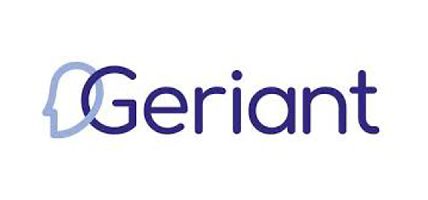 Interim ICT manager