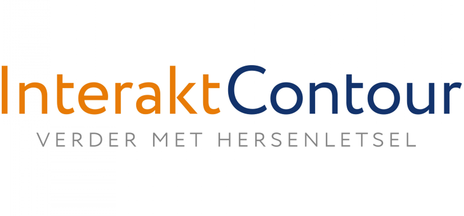 Interim Programmamanager